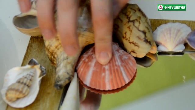 ДЕКОР ЗЕРКАЛА МОРСКИМИ РАКОВИНАМИ СВОИМИ РУКАМИ смотреть онлайн
