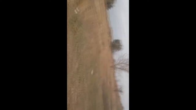 набирай не хочу..корм бесплатно.. смотреть онлайн