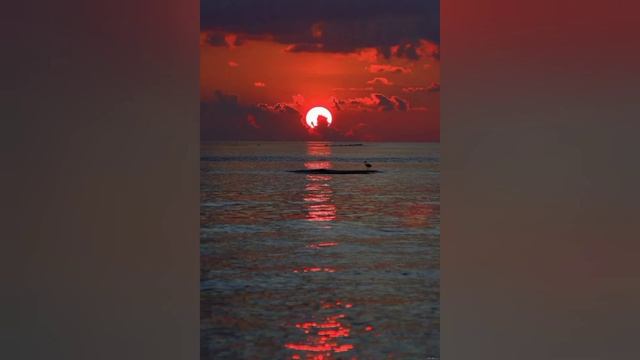 КАК В ОБРАЗ ЛЬВА ТОЛСТОГО ПЕРЕВОПЛОТИЛАСЬ СИЛА НЕЧИСТАЯ!! смотреть онлайн