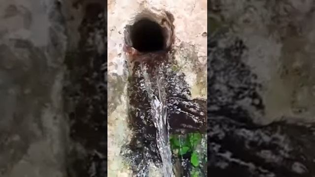 Moses' Spring - kingdom of jordan смотреть онлайн
