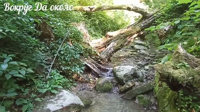 Прогулка по Берендееву царству в Сочи смотреть онлайн