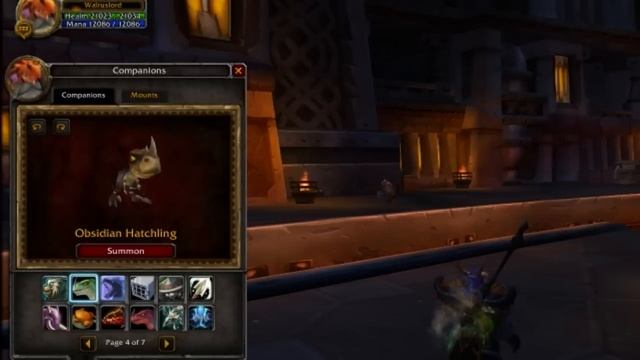 Lil' Game Hunter Achievement | World of Warcraft смотреть онлайн
