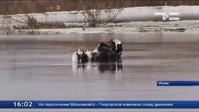 Река Мергенька поднялась на полметра и затопила 22 дома смотреть онлайн