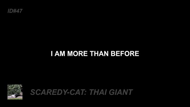THAI GIANT | LYRICS смотреть онлайн