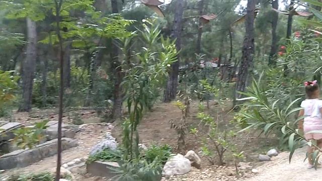 Парк динозавров. Динопарк Турция Анталия Гюйнюк Динопарк. Видео для детей. Игра для детей. смотреть онлайн