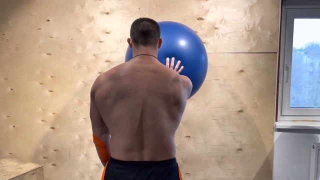 Вращение плеча с упором в фитбол. смотреть онлайн