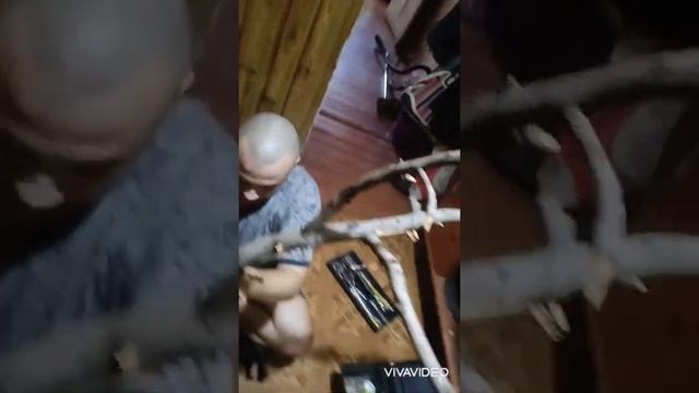 игровая площадка для попугая своими руками ? смотреть онлайн