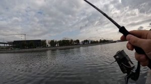 JS COMPANY NIXX DX S762L