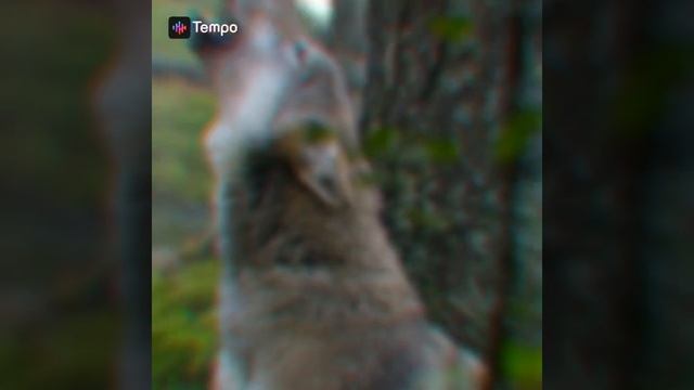 эдит волк смотреть онлайн