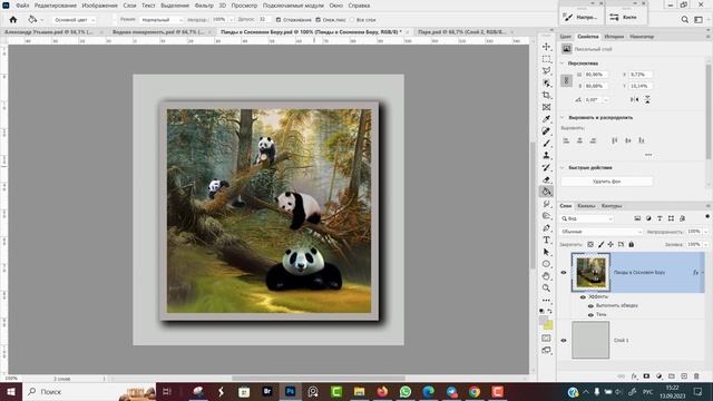 Как сделать рамку вокруг фотографии в Adobe Photoshop смотреть онлайн
