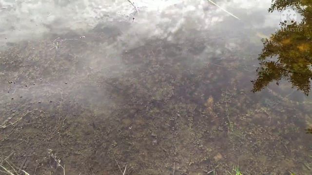 Эльза на Кубе. Конец шторма смотреть онлайн