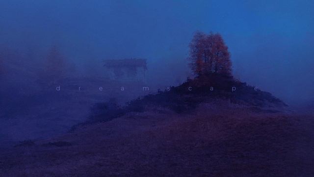 hozuki - snowfield смотреть онлайн
