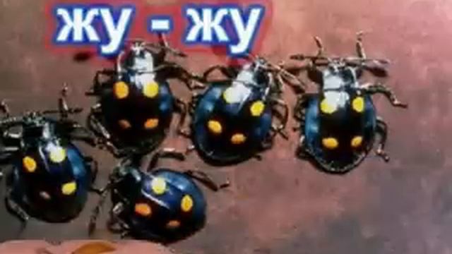 Логопедическая распевка "Жуки" смотреть онлайн