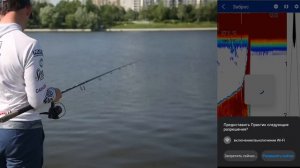 Какой эхолот выбрать для рыбалки с берега? Дешевые против Дорогих! Deeper, Lowrance, Lucky, Практик