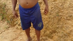 Банановый паук/Phoneutria/Бразильский странствующий паук  Full HD,1920x1080