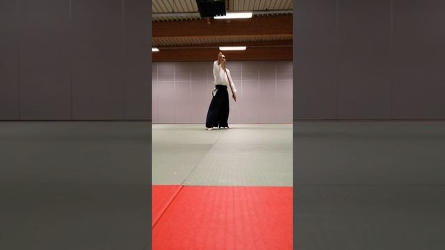 #1c jo awase 1c in Aikido left side смотреть онлайн