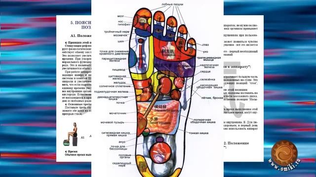 Массажер S 780 Tiens Стимулятор циркуляции энергии крови СЦЭК смотреть онлайн