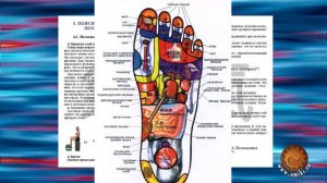 Массажер S 780 Tiens   Стимулятор циркуляции энергии крови СЦЭК