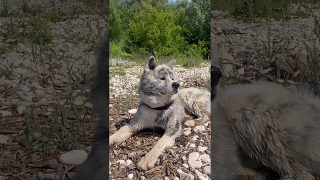 Жалуется смотреть онлайн