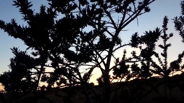 VID 20220525 215131 В овраге снежные... 1915 (Н. Клюев)...Павел Васильев Лахтинский смотреть онлайн