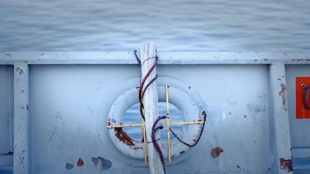 Film gratuit MEGALODON EN FR смотреть онлайн