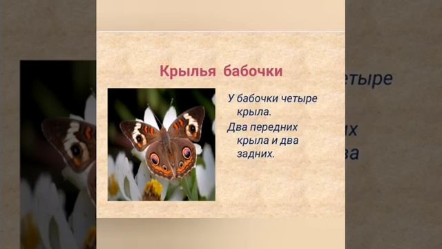 Воздушные бабочки смотреть онлайн