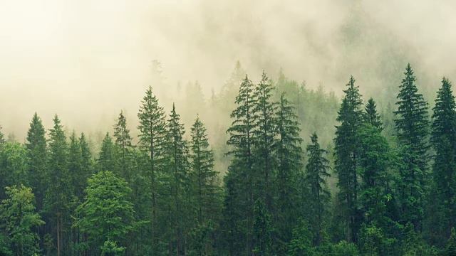 Царский путь Креста Господня. Часть 1. Глава 3 смотреть онлайн