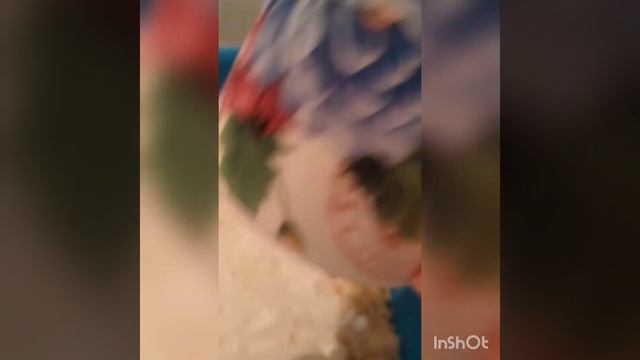 Пироги с готовым тестом