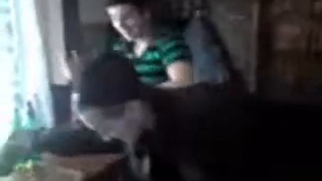 Мы любим лапать баб , Смотреть до конца смотреть онлайн