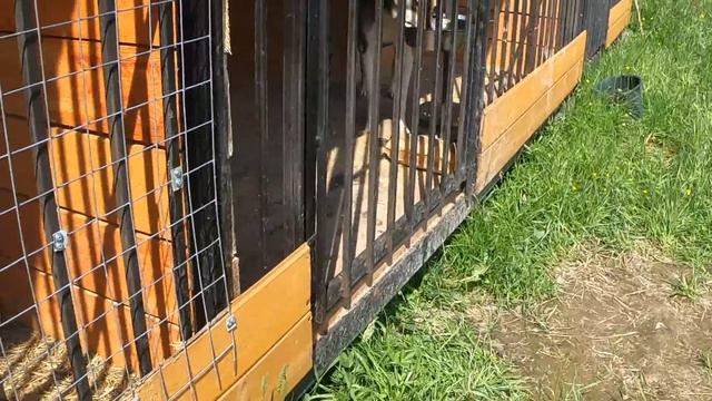 Раннее утро/Кушаем/Гуляем/ смотреть онлайн