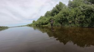 Рыбалка на Оке. в проводку.