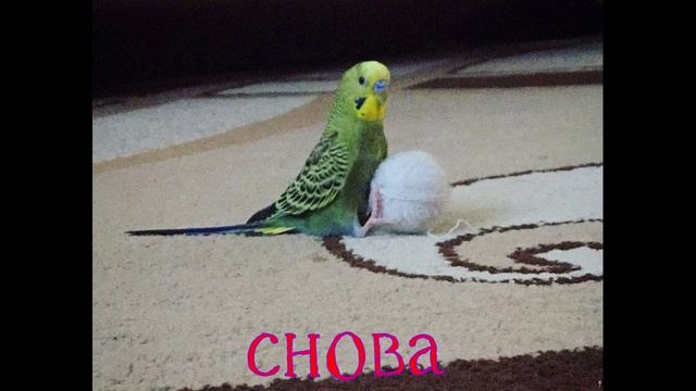 Айсберг по Unturned 3 факта