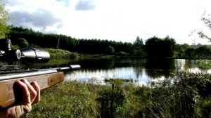 Обзор пневматической винтовки Hatsan 135