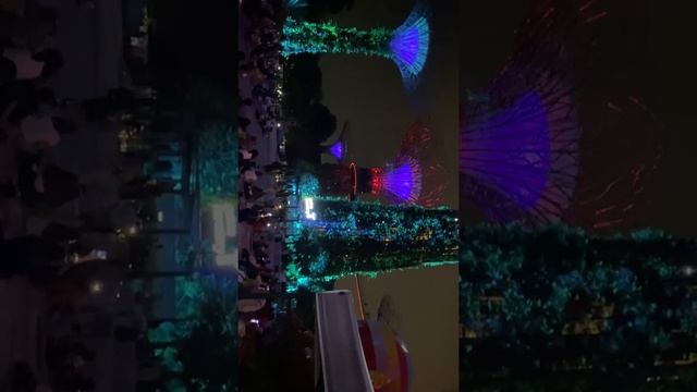 OCBC Singapore ?? Light Night Show | Garden By The Bay #tourist #singapore #gardensbythebay