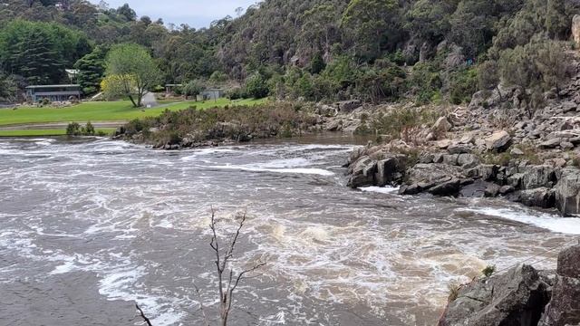 10 best places you have to visit in Tasmania - Australia 2022 - Travel Guide -Tasmania Travel Vlog смотреть онлайн