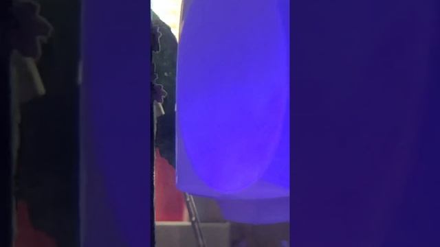 Мини риф. Размножение морских звёздочек смотреть онлайн