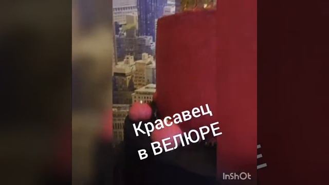 Многоярусный Торт в покрытии ВЕЛЮР смотреть онлайн