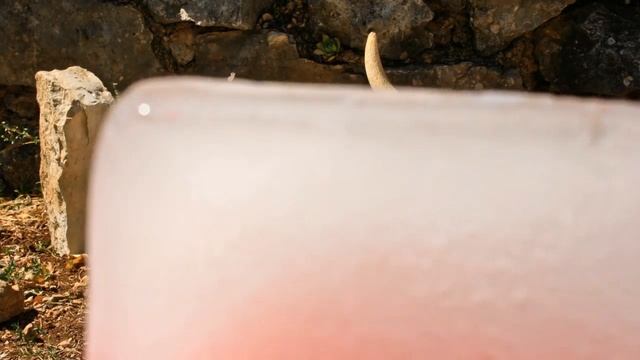 Time-lapse - Ice & Skull смотреть онлайн