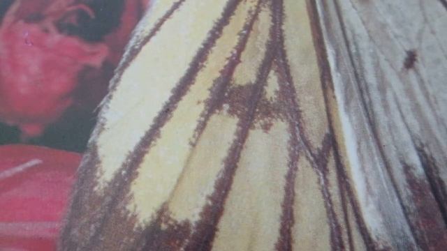 Как сшить юбку с двумя швами спереди.How to sew a skirt with two front seams. смотреть онлайн