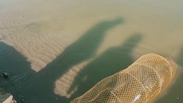 Серёга с друзьями на Шардаре!👍 смотреть онлайн