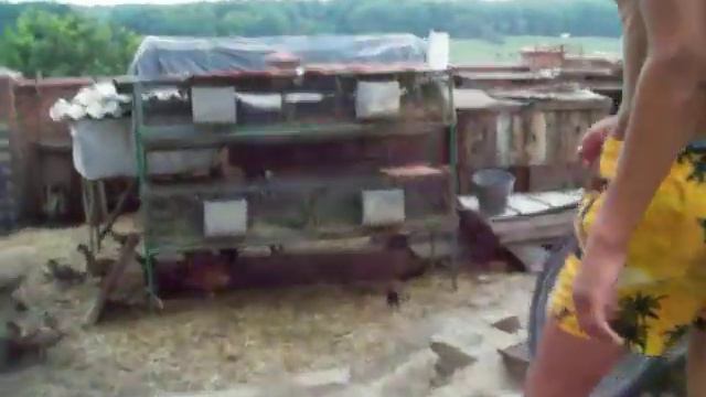 клетки для кроликов своими руками смотреть онлайн