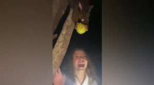 Смешные приколы #16