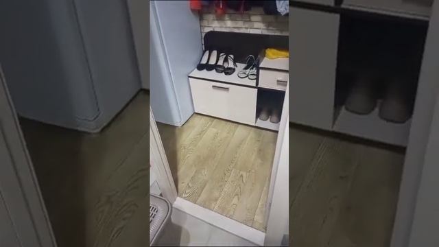 Кошка бегает за палочкой смотреть онлайн