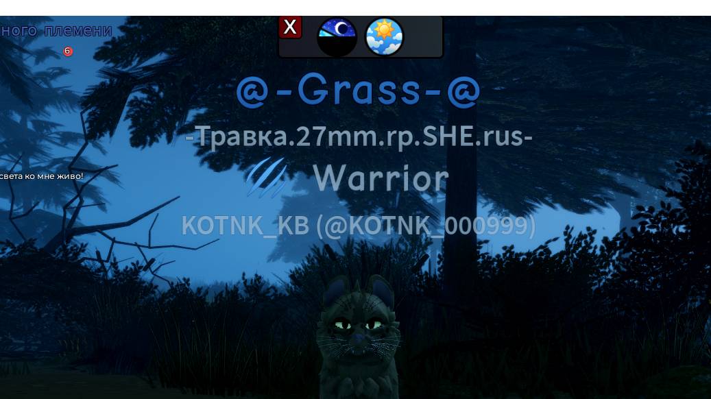 видео кв от 🐸