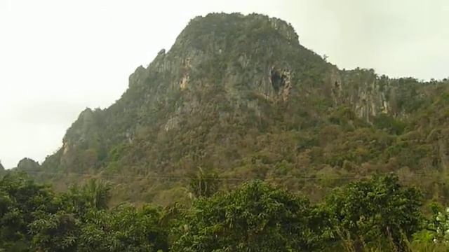 гора летучих мышей днем смотреть онлайн