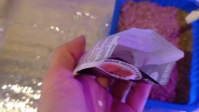 Черенкование Пеларгонии смотреть онлайн