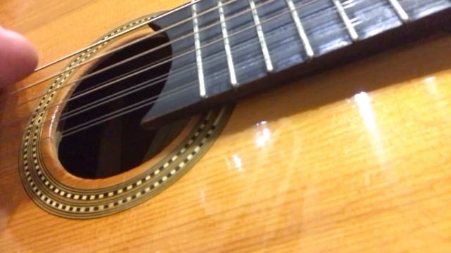 Кавер на песню «Стань птицей» В.Цой. смотреть онлайн