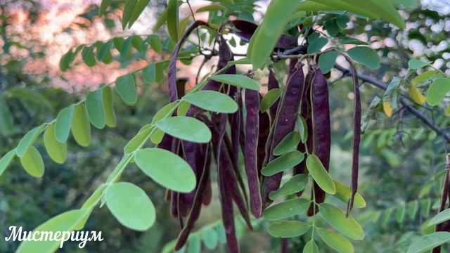 3 Самых Опасных дня в Мае 2023 Будьте осторожны Неблагоприятные дни месяца. смотреть онлайн