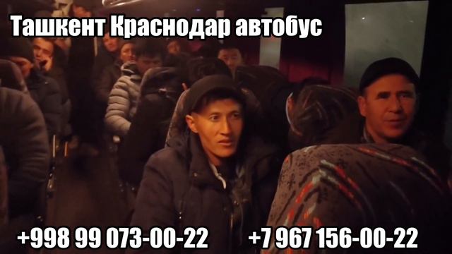 Автобус Ташкент Краснодар, Ташкент Краснодар автобус, автобус Ташкент Ростов-на-Дону, #краснодар смотреть онлайн