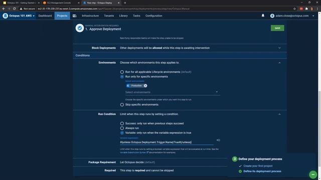 Octopus 101 - Getting Started with Octopus and AWS смотреть онлайн